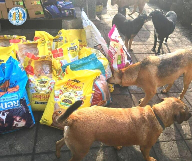 Pet food distribution
