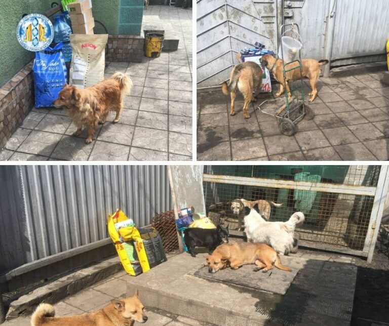 Pet shelters